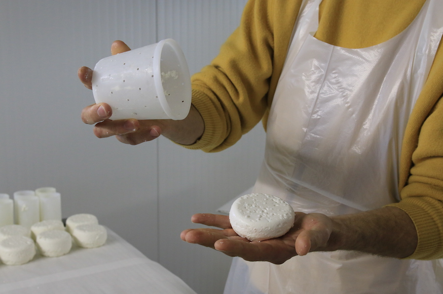 J'apprends à faire du fromage